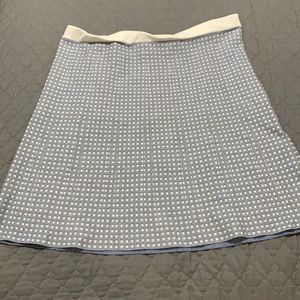 Ann Taylor Petite Skirt
